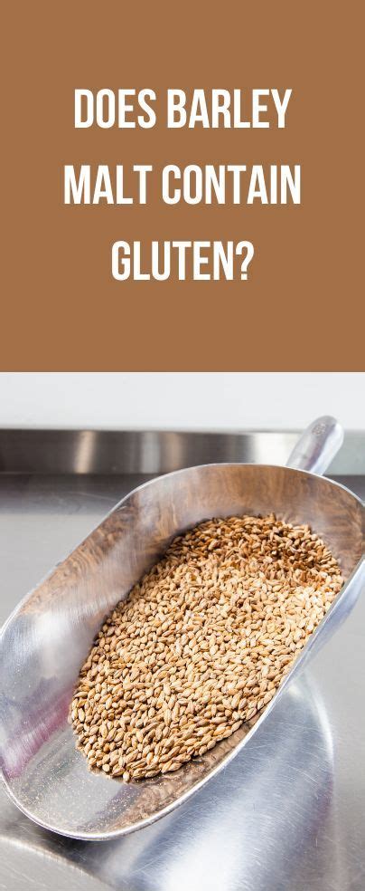 does barley malt contain gluten.